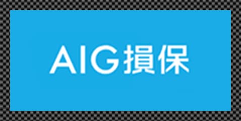 AIG損保